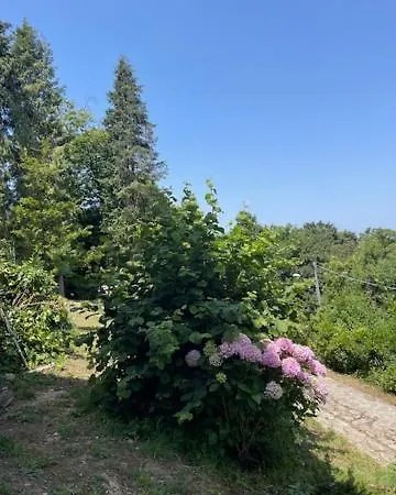 Gianna Holiday home *